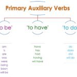PRIMARY AUXILIARIES