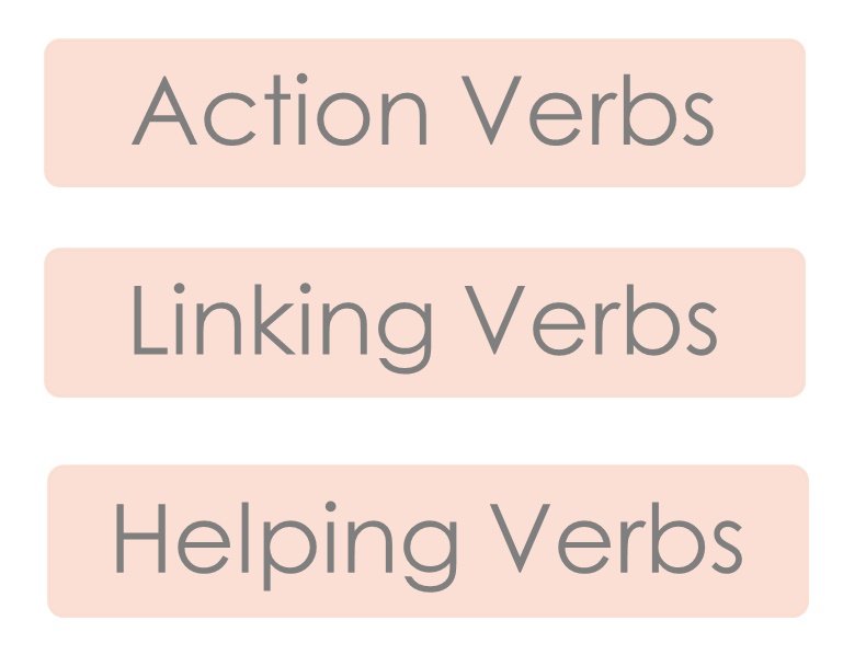 TYPES OF VERBS_