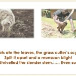 Std.11=Poem-CHERRY TREE-A Pictorial Presentation2_page-0008