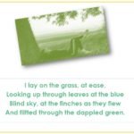 Std.11=Poem-CHERRY TREE-A Pictorial Presentation2_page-0013
