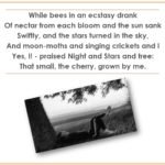 Std.11=Poem-CHERRY TREE-A Pictorial Presentation2_page-0014
