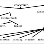 tree diagram commerce