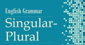 Singular-Plural_English Grammar