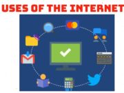Uses of the Internet Uses of the Internet